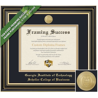 Framing Success 14 x 17 Prestige Gold Medallion Business Diploma Frame