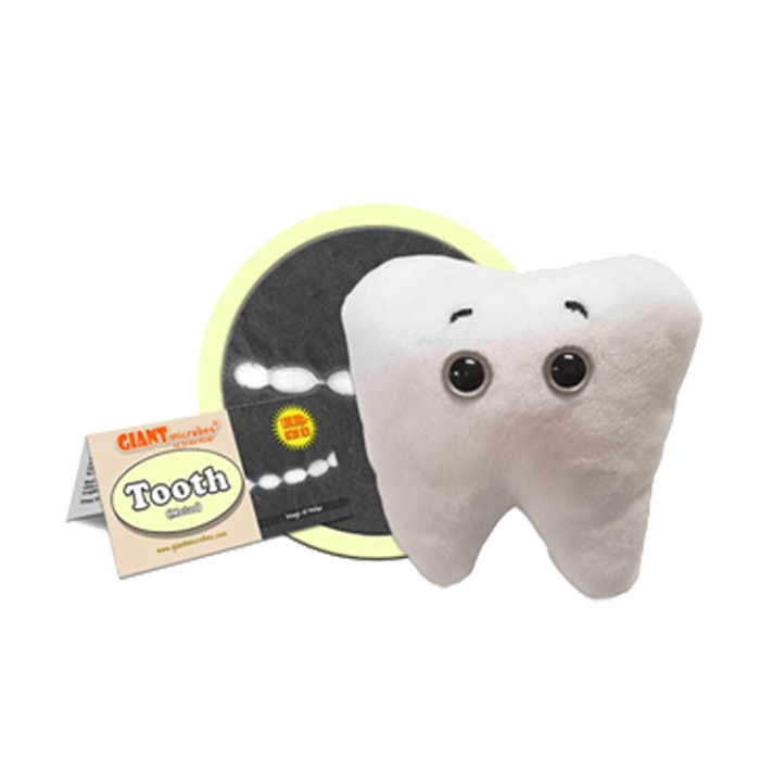 Tooth