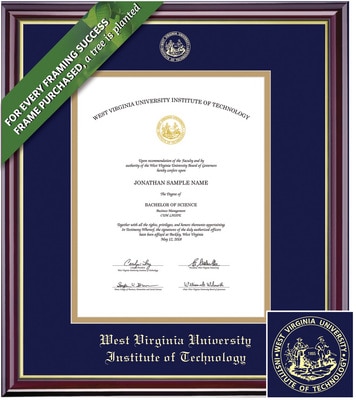 Framing Success 14 x 11 Windsor Gold Embossed School Seal Bachelors, Masters, Doctorate Diploma Frame