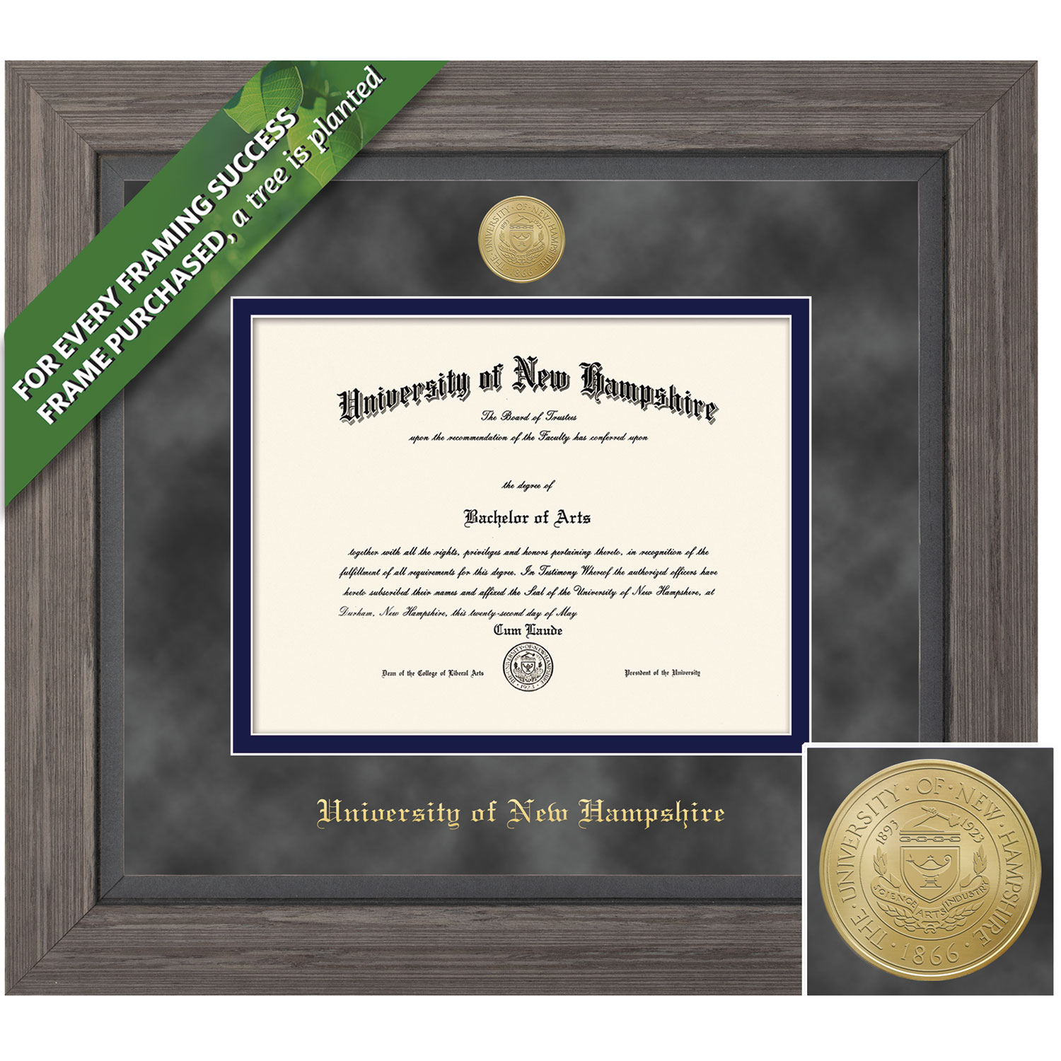 Framing Success 11 x 14 Greystone Gold Medallion Doctorate Diploma Frame