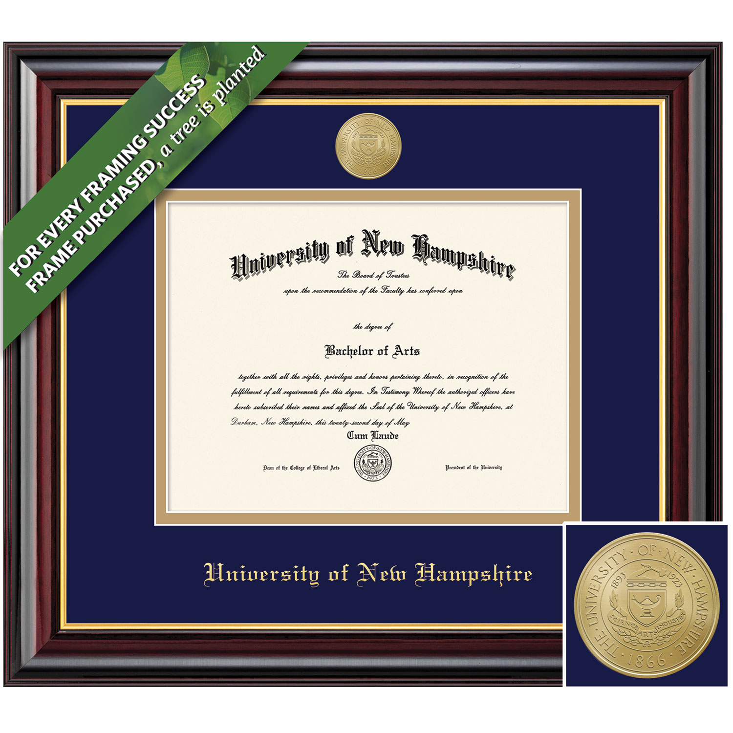 Framing Success 11 x 14 Windsor Gold Medallion Doctorate Diploma Frame