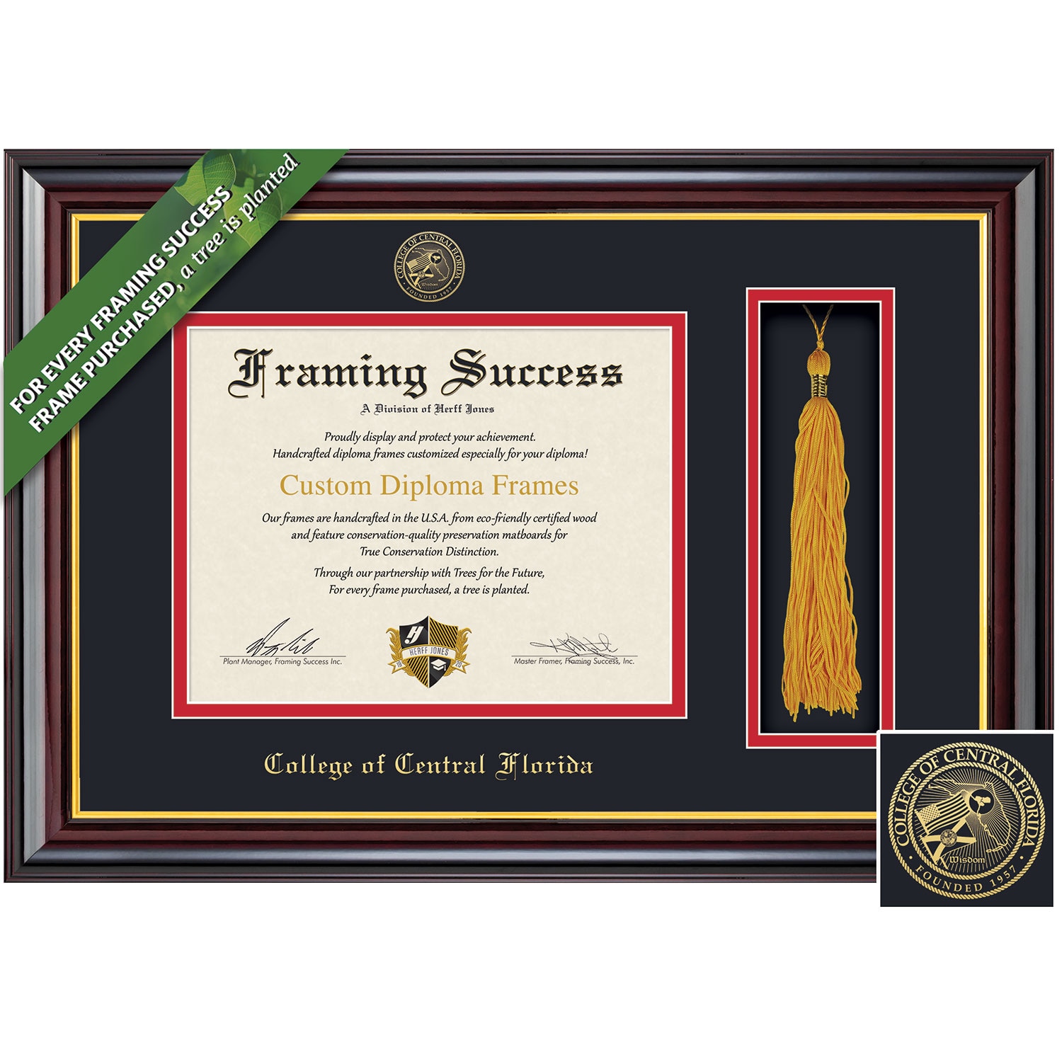 Framing Success 8.5 x 11 Windsor Gold Embossed School Seal Associates, Bachelors Diploma/Tassel Frame