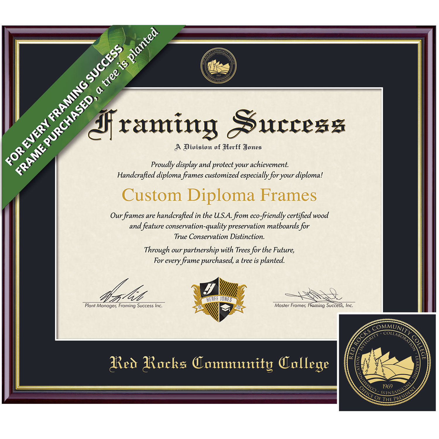 Framing Success 8.5 x 11 Academic Gold Embossed School Seal Associates Diploma Frame