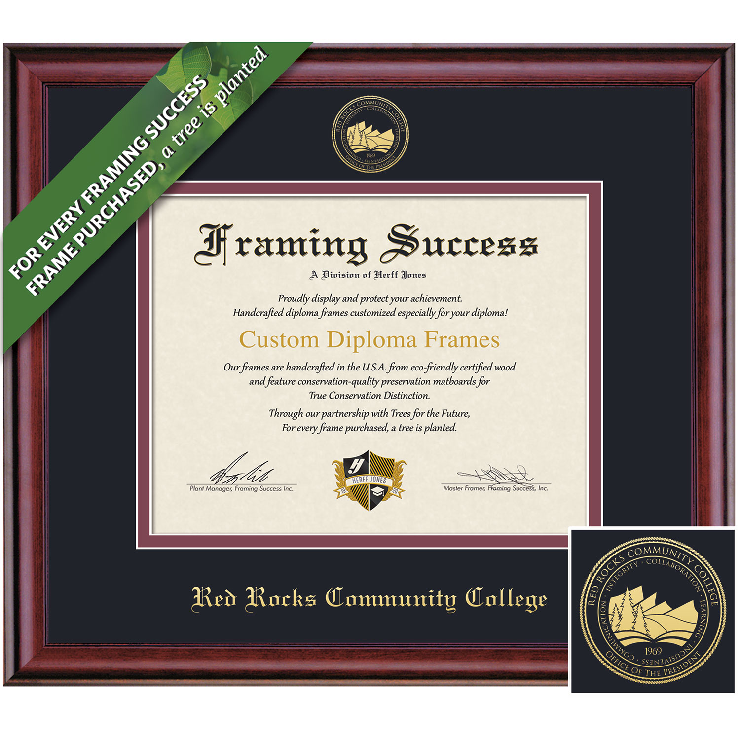 Framing Success 8.5 x 11 Classic Gold Embossed School Seal Associates Diploma Frame