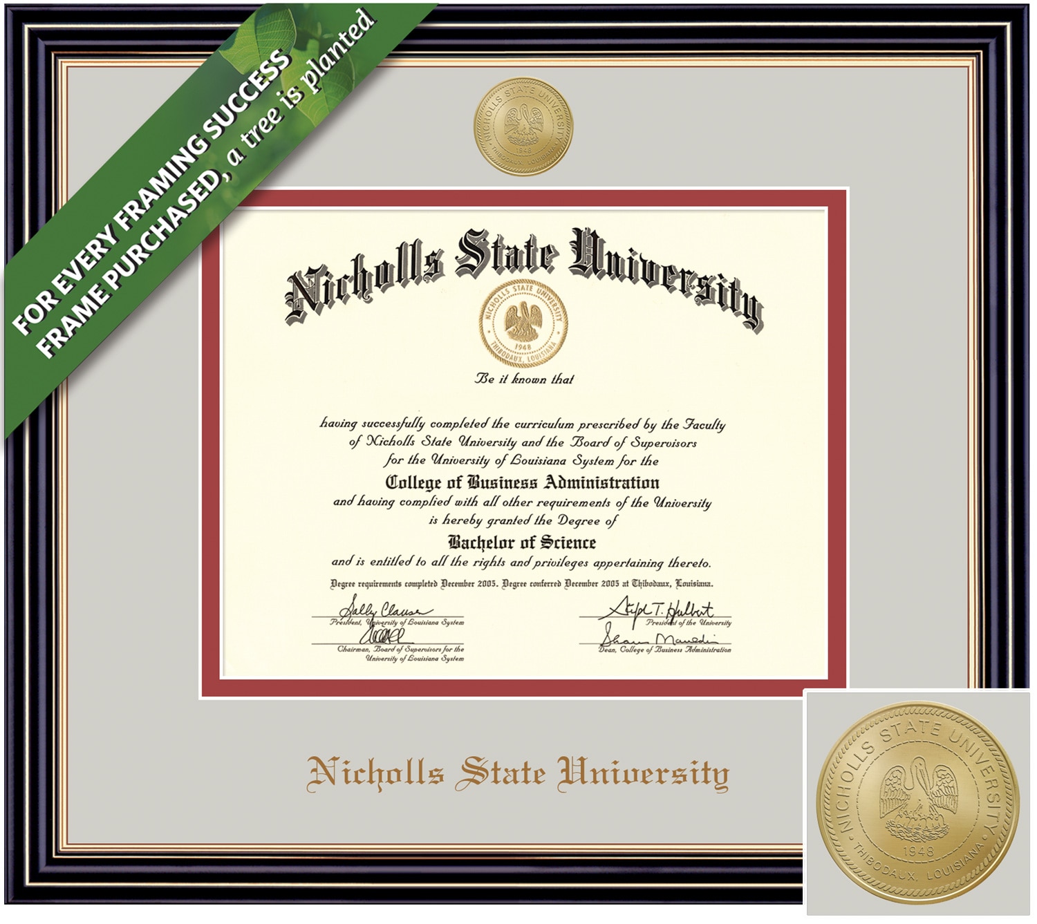 Framing Success 8.5 x 11 Prestige Gold Emb School Seal Bachelors, Masters Diploma Frame