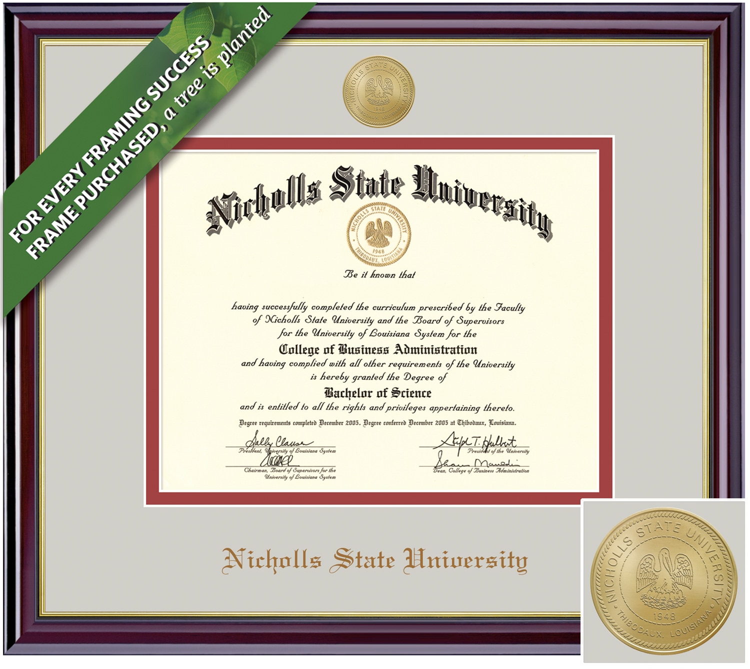 Framing Success 8.5 x 11 Windsor Gold Emb School Seal Bachelors, Masters Diploma Frame