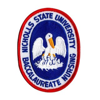Baccalaureate Nursing Patch