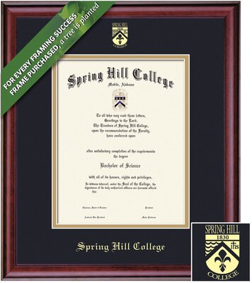 Framing Success 11 x 8.5 Classic Gold Embossed School Seal Bachelors, Masters Diploma Frame