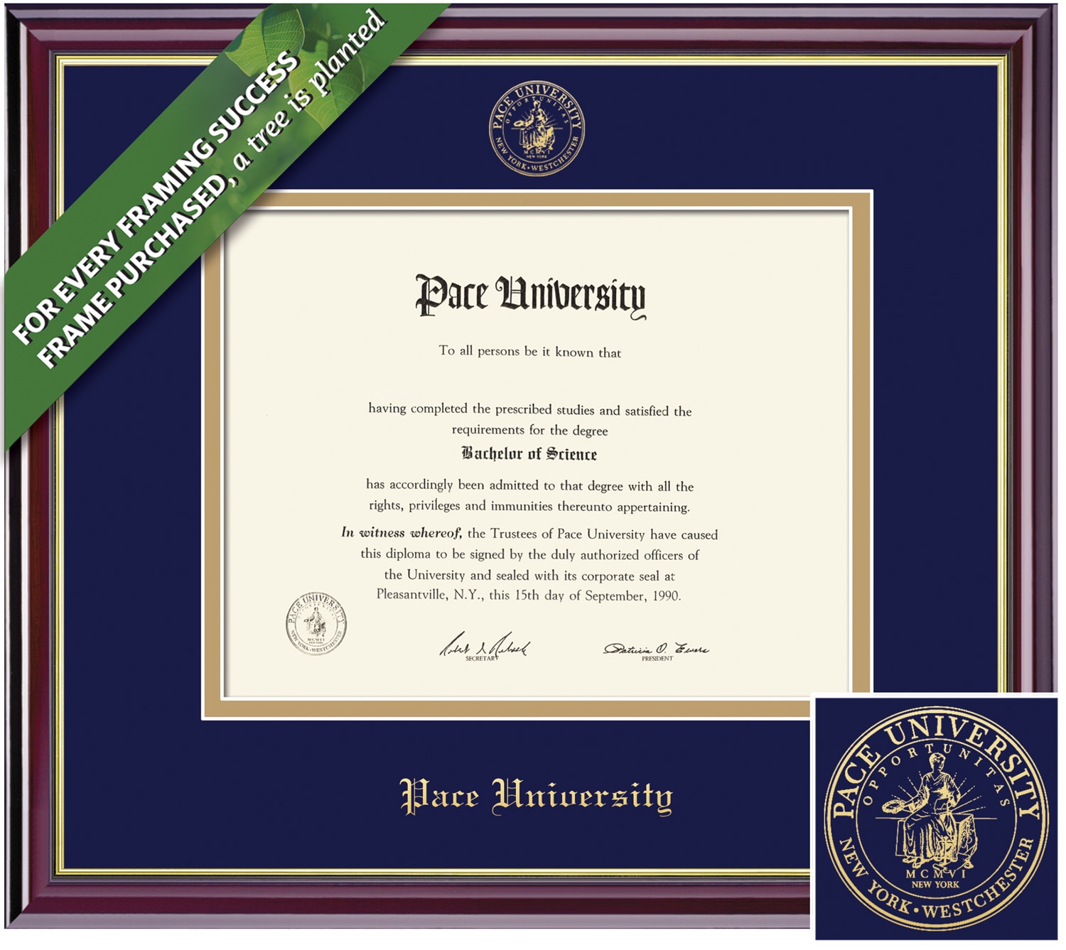 Framing Success 11 x 14 Windsor Gold Embossed School Seal Bachelors, Masters, Doctorate Diploma Frame