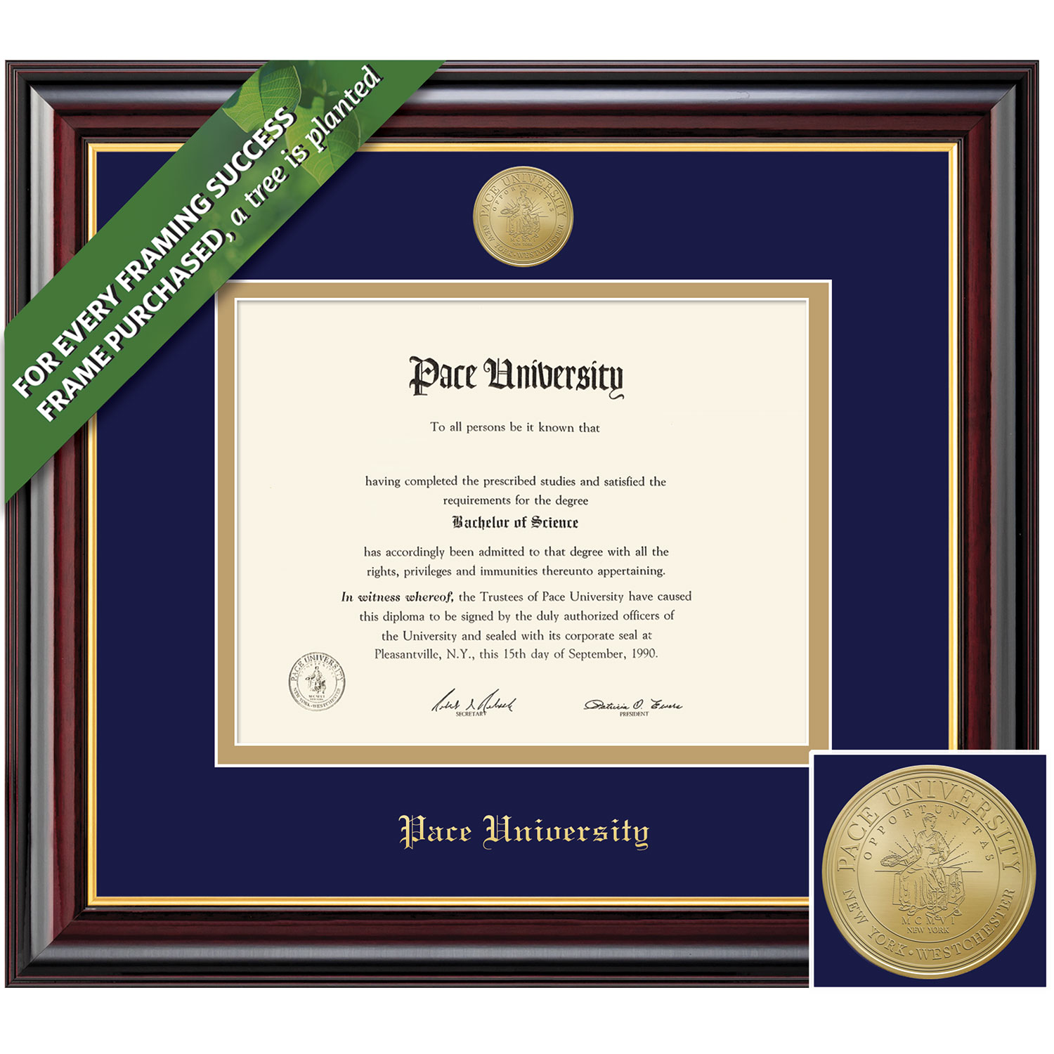 Framing Success 11 x 14 Windsor Gold Medallion Bachelors, Masters Diploma Frame