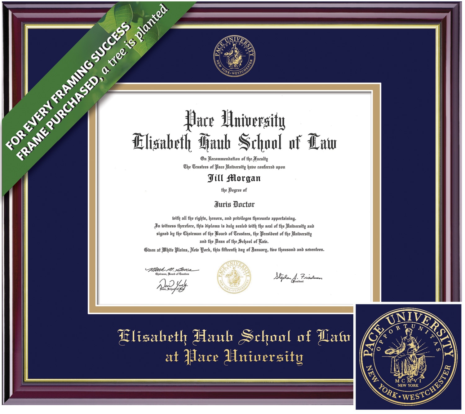 Framing Success 10.5 x 12.5 Windsor Gold Embossed School Seal Law Diploma Frame