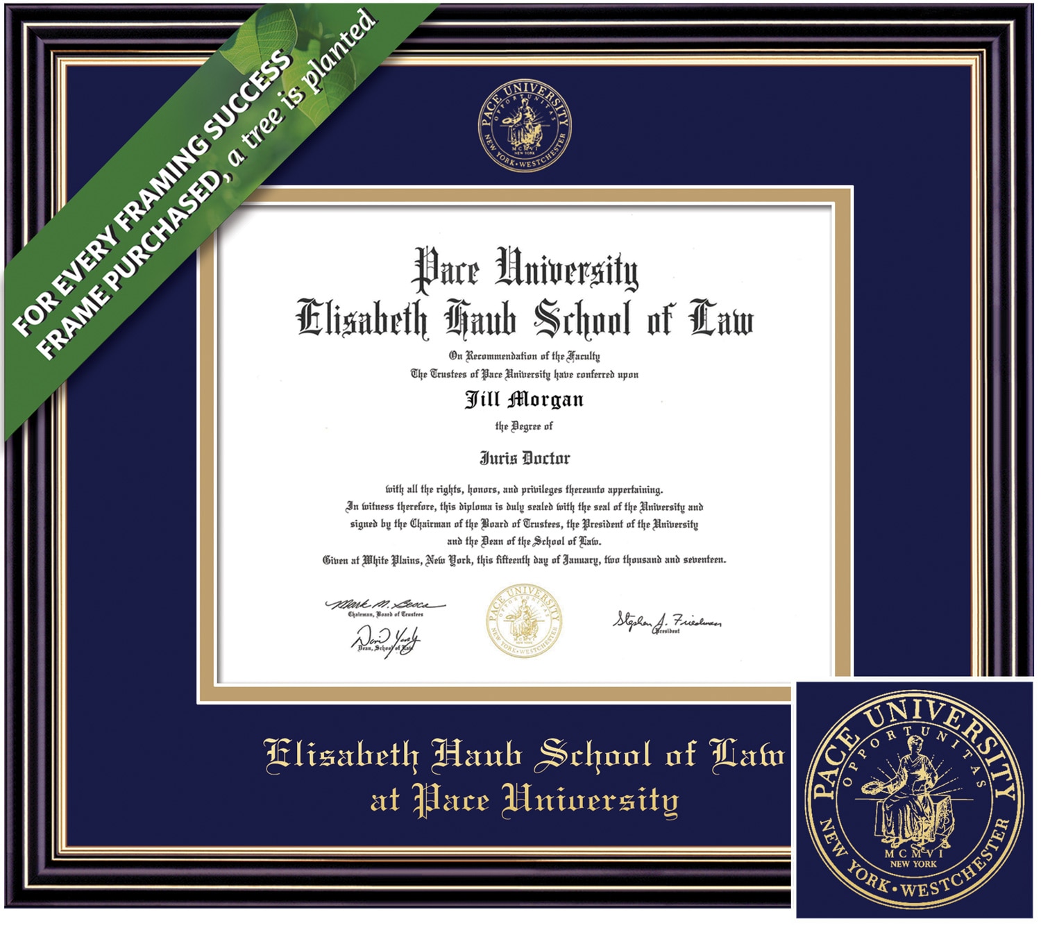 Framing Success 10.5 x 12.5 Prestige Gold Embossed School Seal Law Diploma Frame
