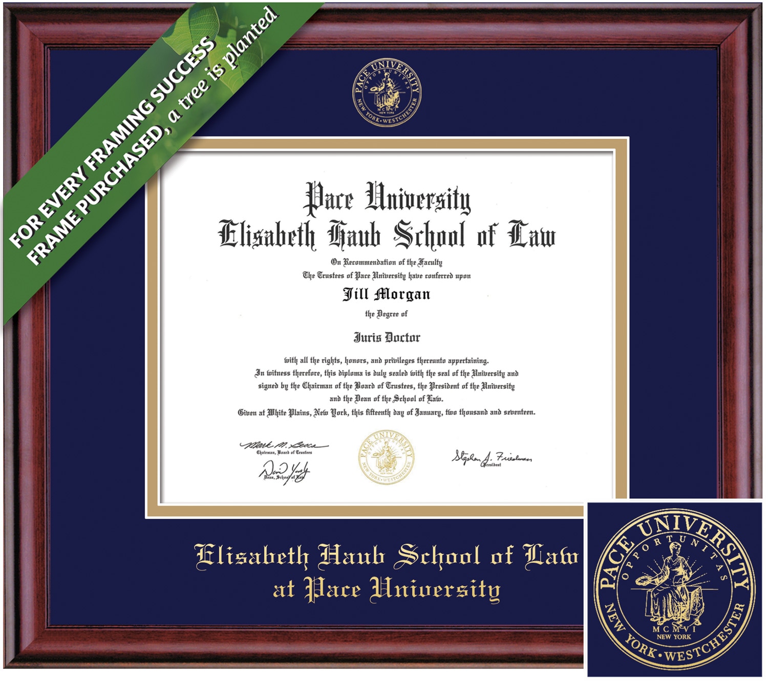 Framing Success 10.5 x 12.5 Classic Gold Embossed School Seal Law Diploma Frame
