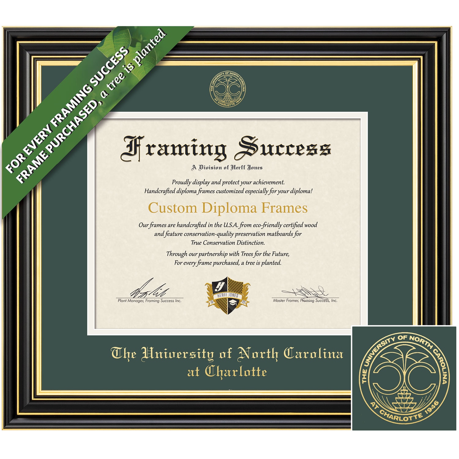 Framing Success 11 x 14 Prestige Gold Embossed School Seal Bachelors, Masters, PhD Diploma Frame