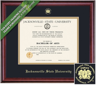 Framing Success 8 x 10 Classic Gold Embossed School Seal Bachelors, Masters, PhD Diploma Frame