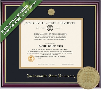 Framing Success 8 x 10 Windsor Gold Medallion Bachelors, Masters, PhD Diploma Frame
