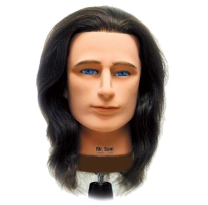 Mr. Sam Manikin