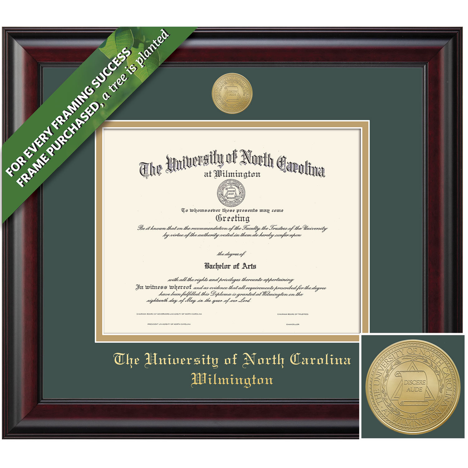 Framing Success 11 x 14 Classic Gold Medallion Bachelors, Masters, PhD Diploma Frame