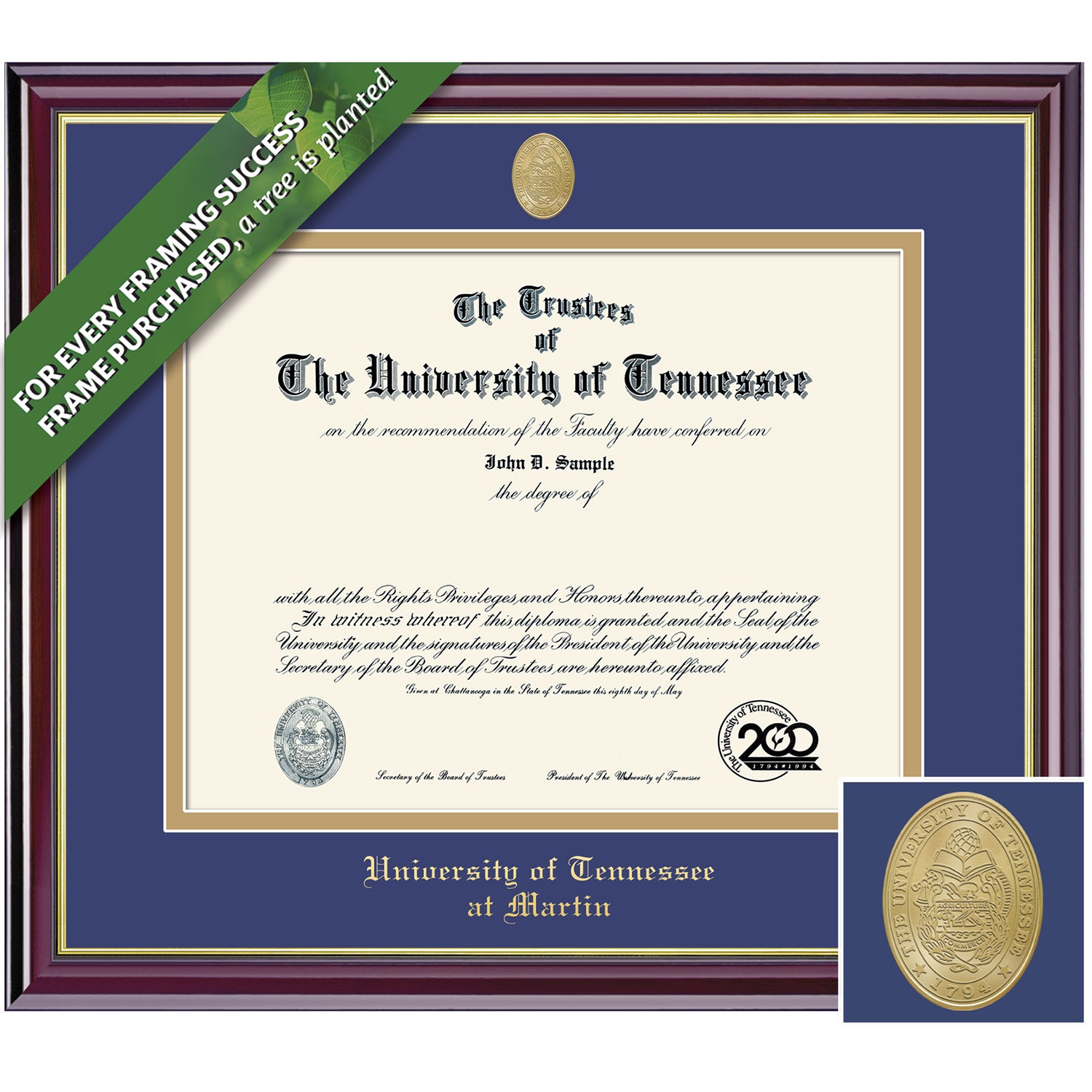 Framing Success 12 x 15 Windsor Gold Medallion Bachelors, Masters Diploma Frame