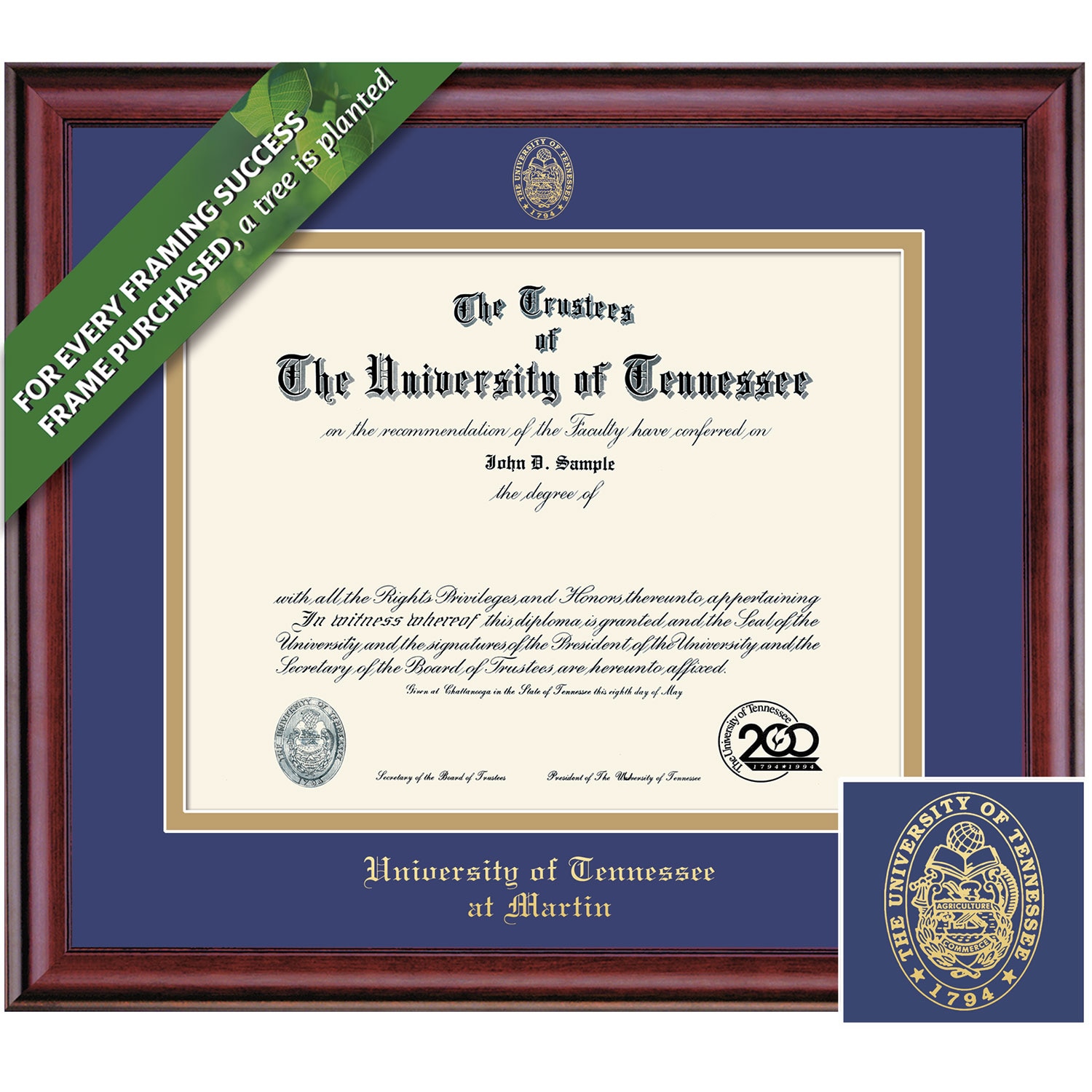 Framing Success 12 x 15 Classic Gold Embossed School Seal Bachelors, Masters Diploma Frame