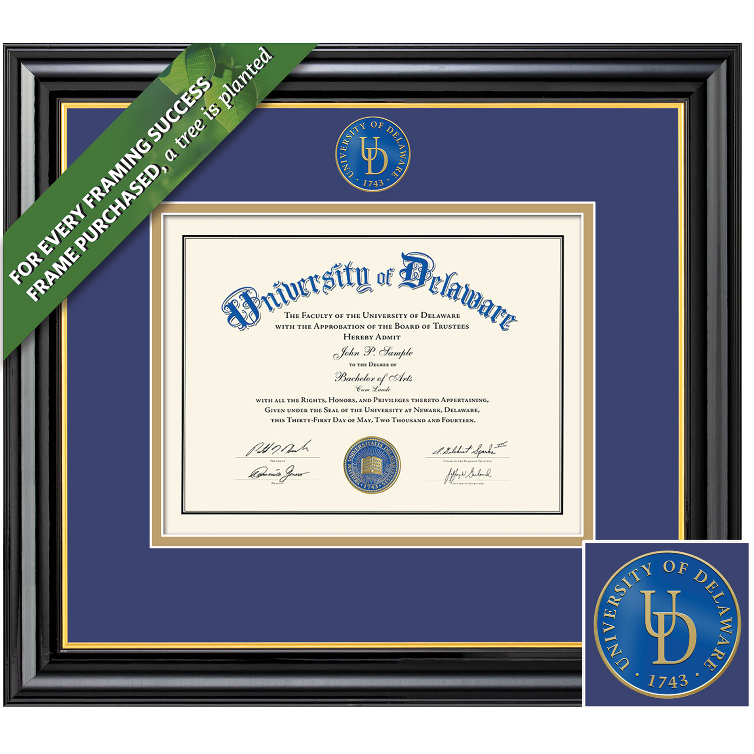 Framing Success 12 x 16 Coronado0 Color Enamel Custom Minted Medallion of School Seal Bachelors, Masters, Ph.D Diploma Frame