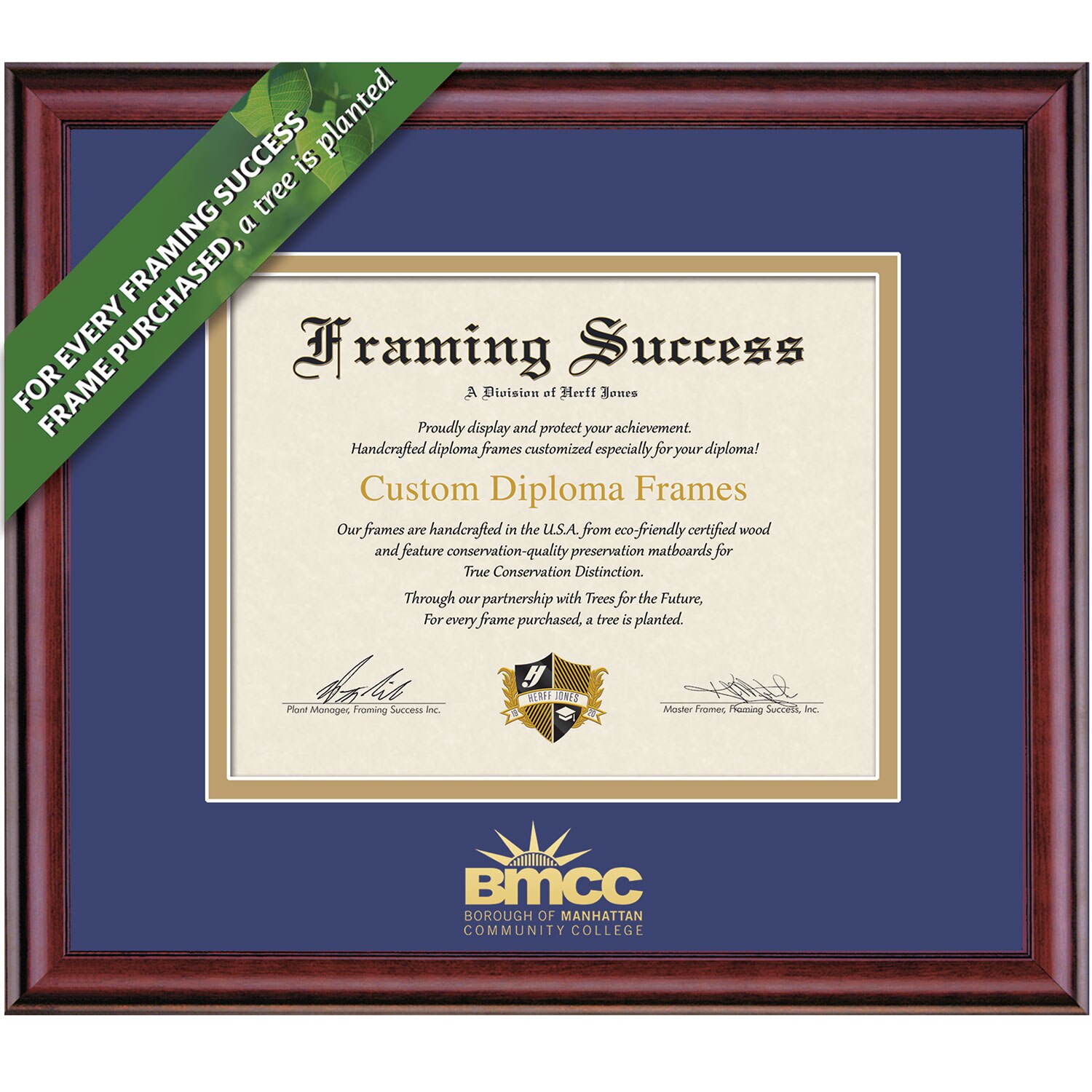 Framing Success 7 x 9 Classic Gold Embossed School Name Associates Diploma Frame