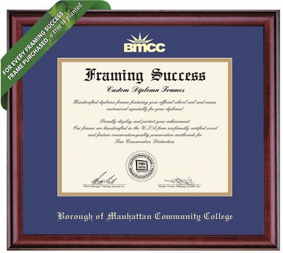 Framing Success 8 x 10 Classic Gold Embossed School Seal Bachelors, Masters Diploma Frame