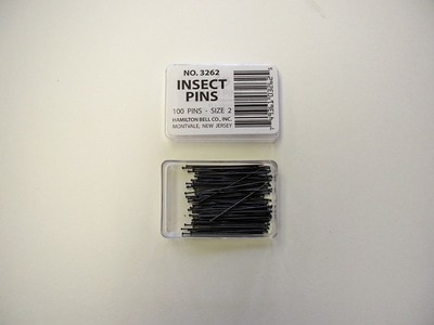 Pin-Insect Size2 100Ct