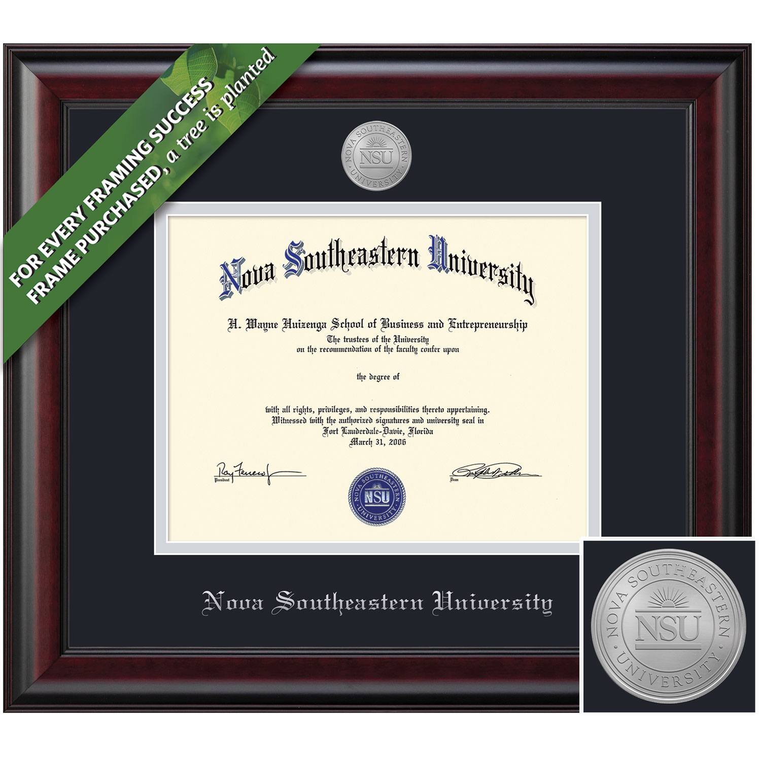 Framing Success 11 x 14 Classic Silver Medallion Bachelors, Masters, PhD Diploma Frame.