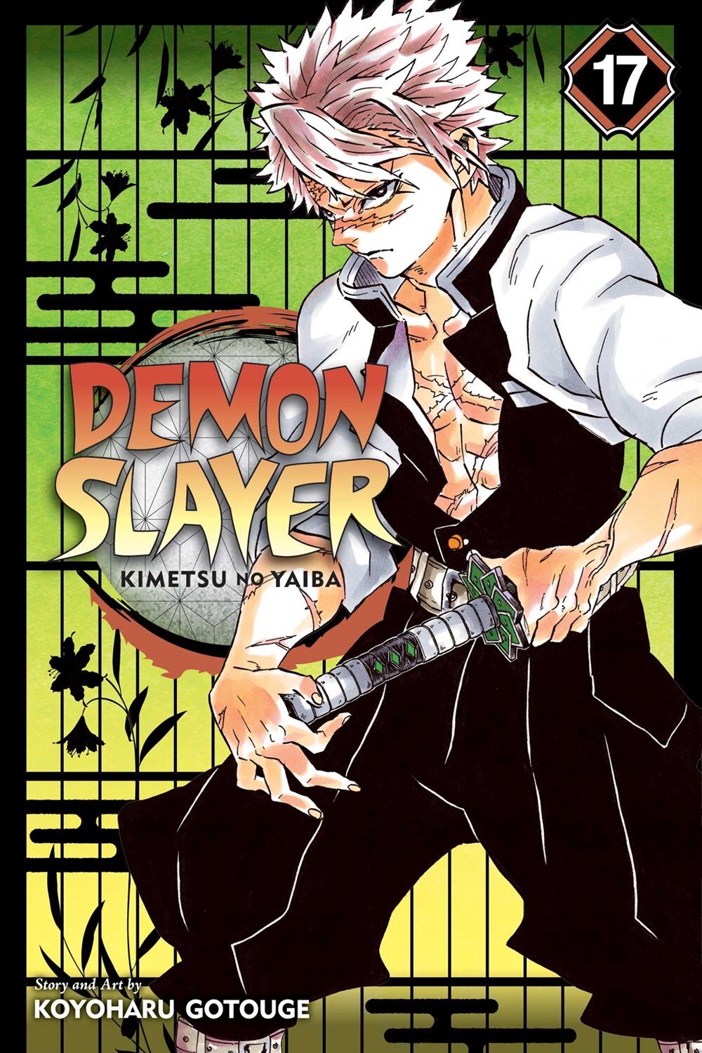 Demon Slayer: Kimetsu No Yaiba  Vol. 17: Volume 17