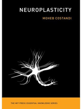 Neuroplasticity
