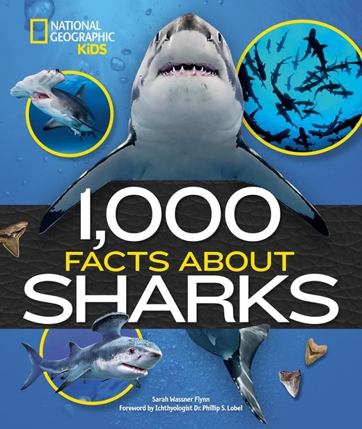 1 000 Facts about Sharks