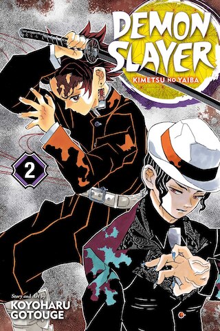 Demon Slayer: Kimetsu No Yaiba  Vol. 2  2