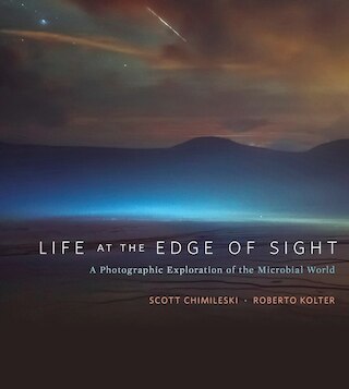 Life at the Edge of Sight: A Photographic Exploration of the Microbial World
