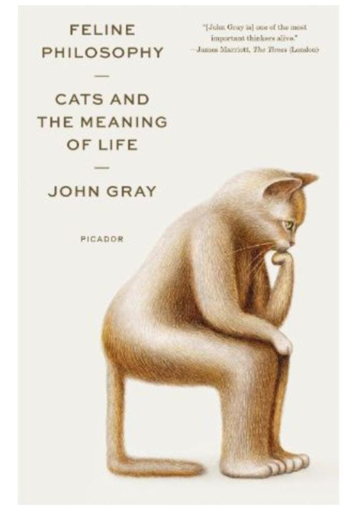 Feline Philosophy: Cats and the Meaning of Life