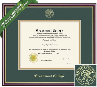 Framing Success 6 x 8 Academic Gold Embossed School Seal Associates Diploma Frame