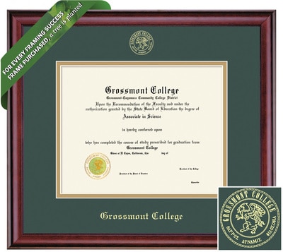 Framing Success 6 x 8 Classic Gold Embossed School Seal Associates Diploma Frame