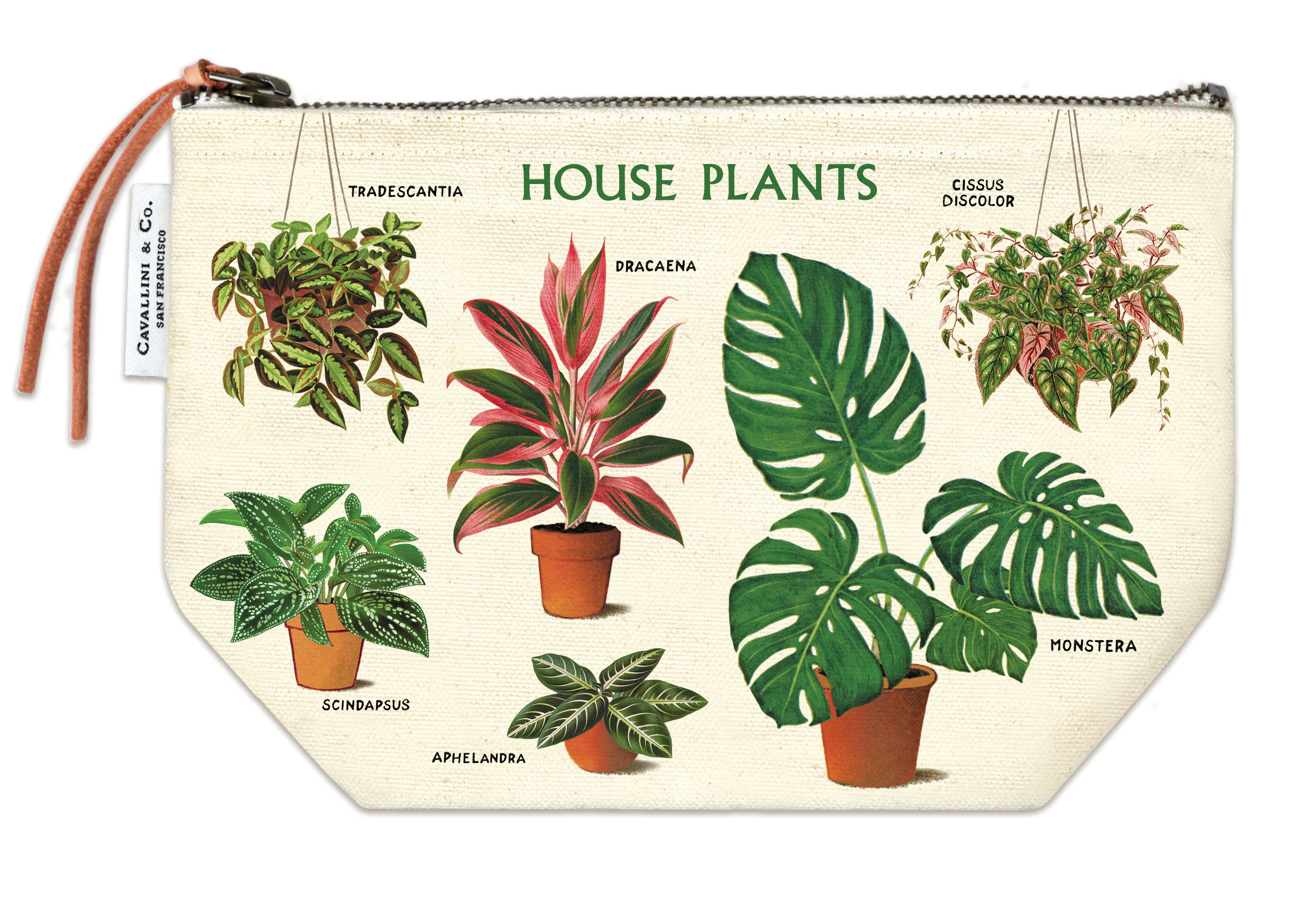 House Plants Pouch