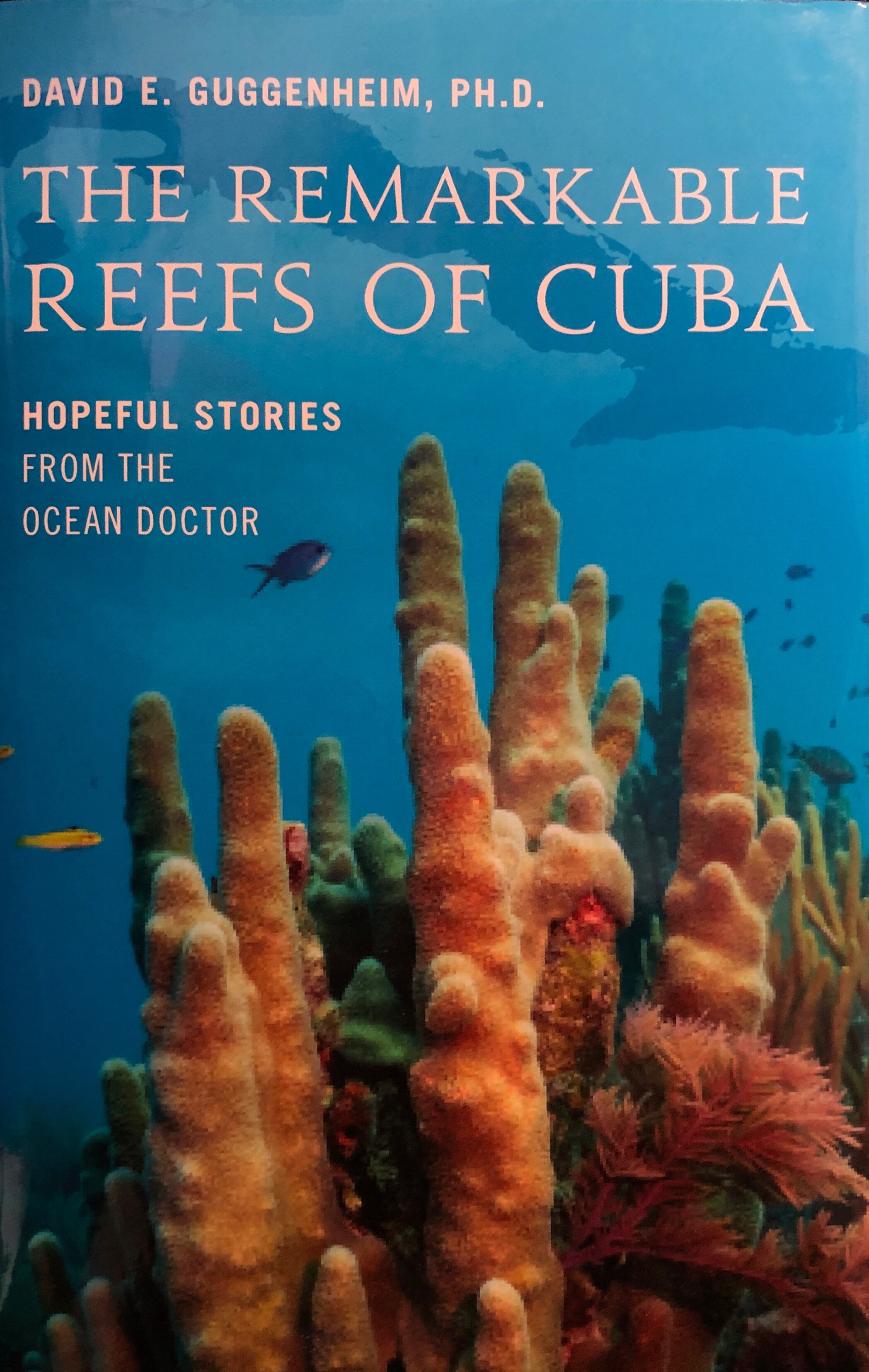 The Remarkable Reefs of Cuba: Hopeful Stories from the Ocean Doctor