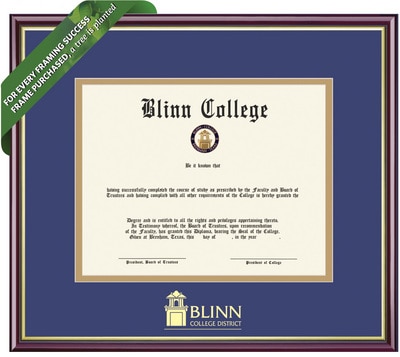 Framing Success 8.5 x 11 Academic Gold Embossed School Seal Bachelors, Masters Diploma Frame