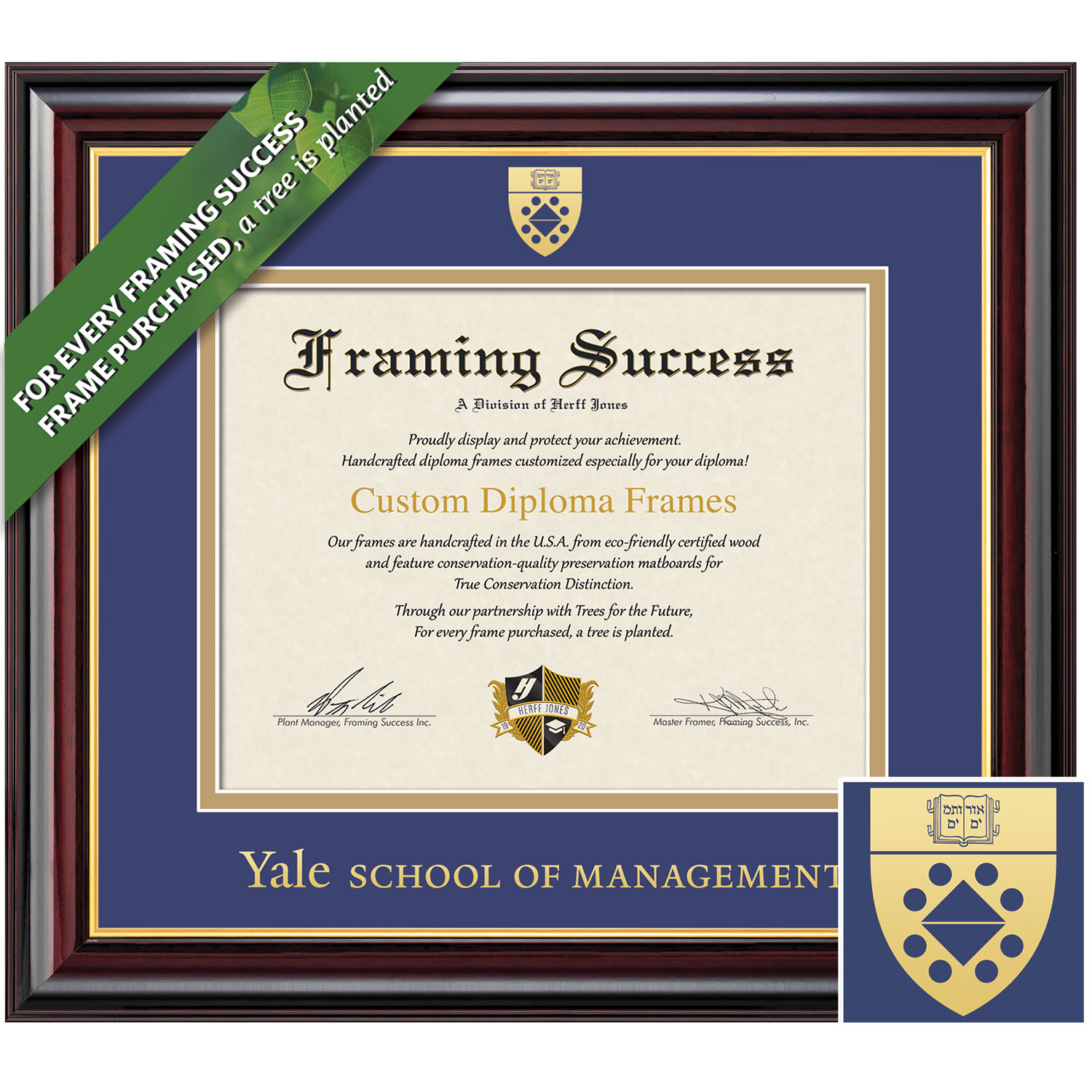 Framing Success 10 x 12 Windsor Gold Embossed School Seal School Of Management Diploma Frame