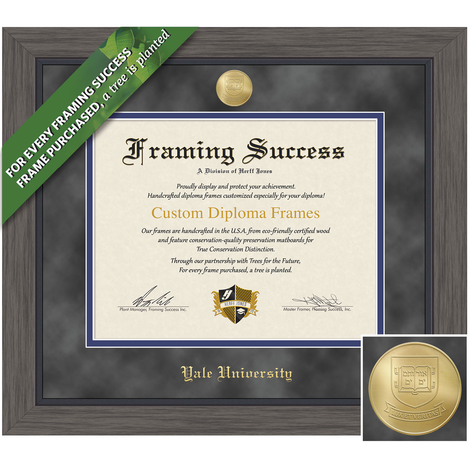 Framing Success 10 x 12 Greystone Gold Medallion Bachelors, Masters Diploma Frame
