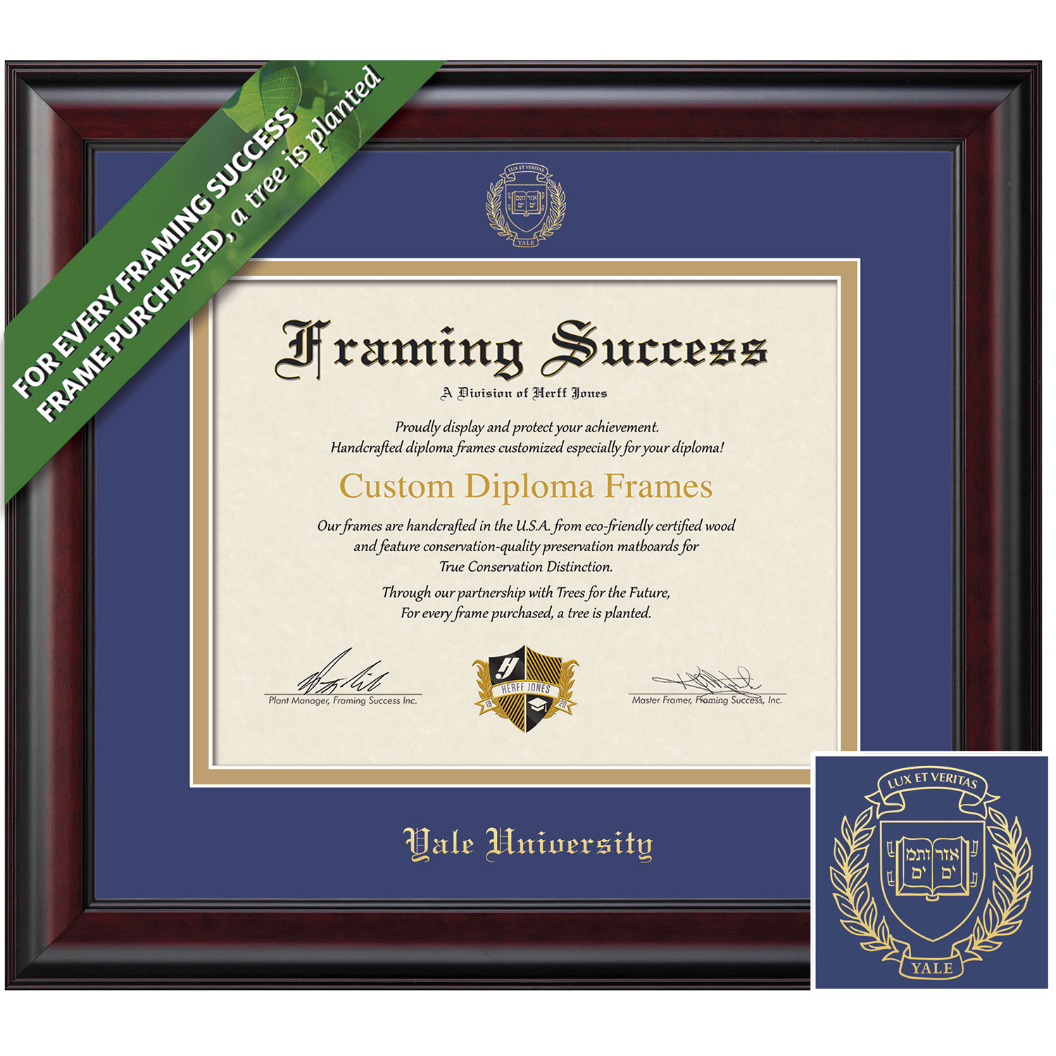 Framing Success 10 x 12 Classic Gold Embossed School Seal Bachelors, Masters Diploma Frame