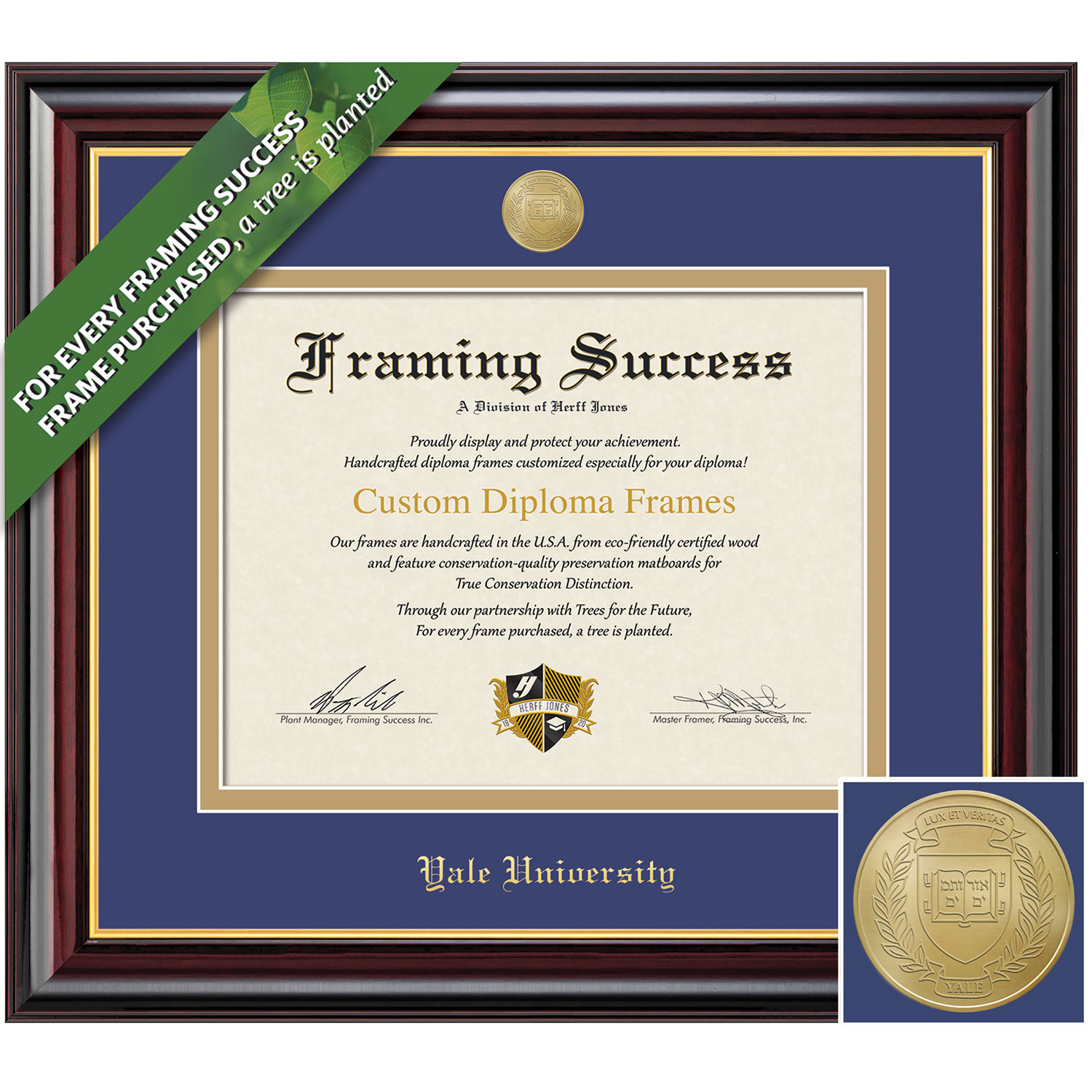 Framing Success 10 x 12 Windsor Gold Medallion Bachelors, Masters Diploma Frame