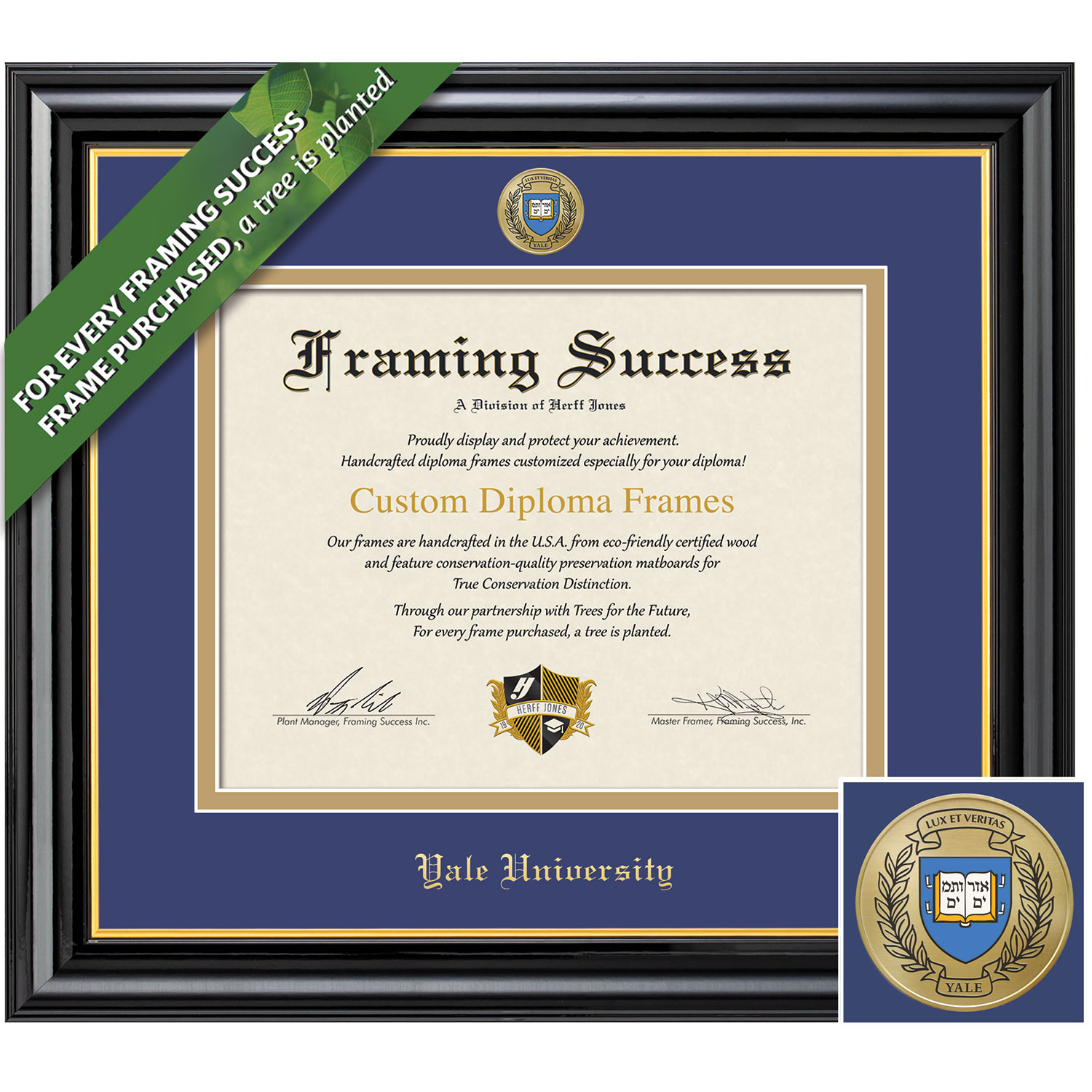 Framing Success 10 x 12 Coronado Colored Medallion Bachelors, Masters Diploma Frame