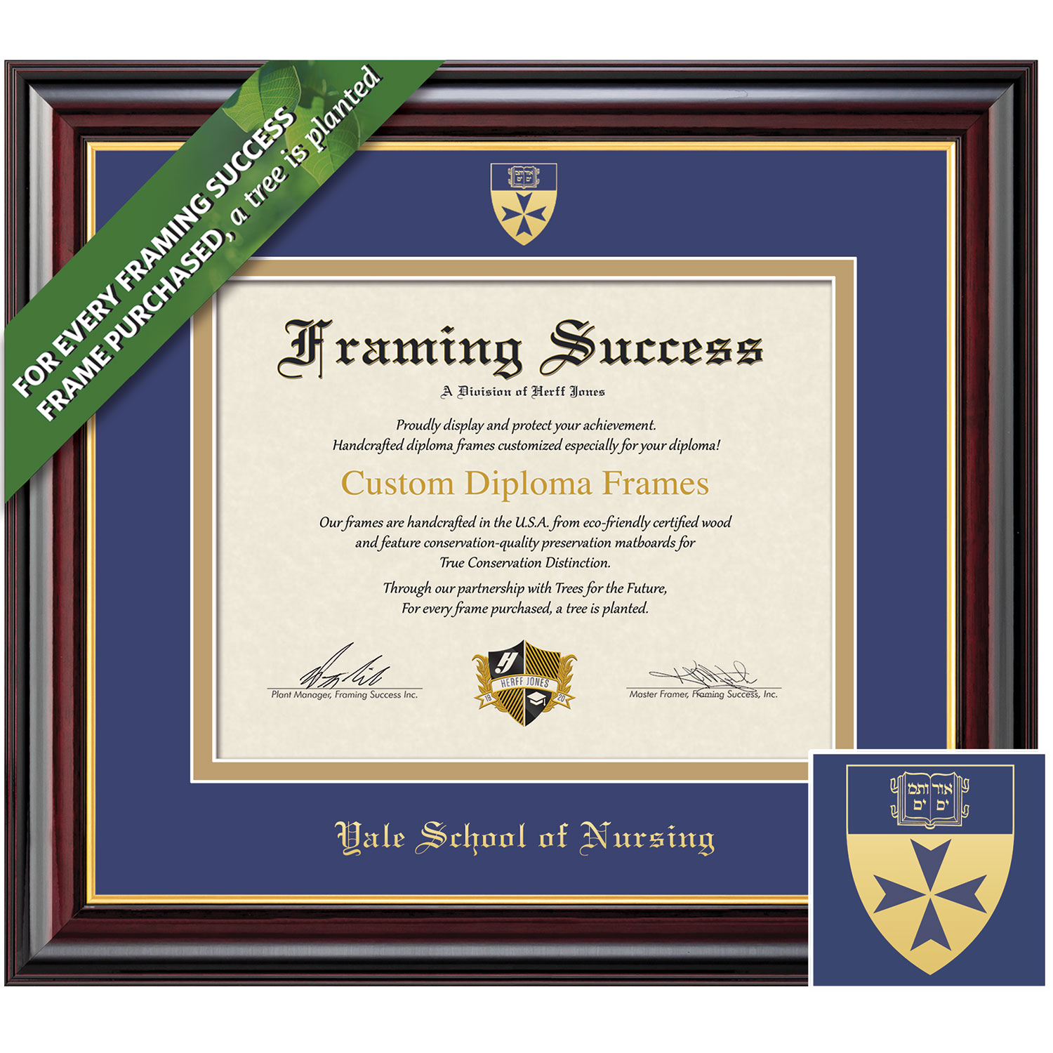 Framing Success 10 x 12 Windsor Gold Embossed School Seal School Of Nursing Diploma Frame