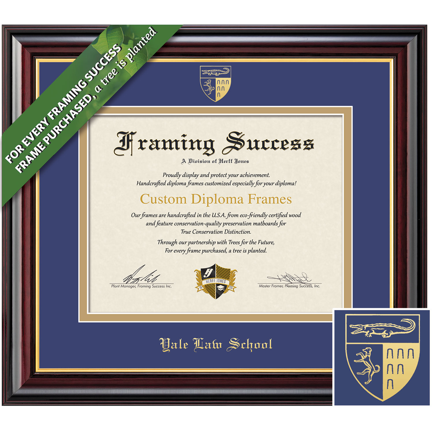 Framing Success 10 x 12 Windsor Gold Embossed School Seal School Of Law Diploma Frame