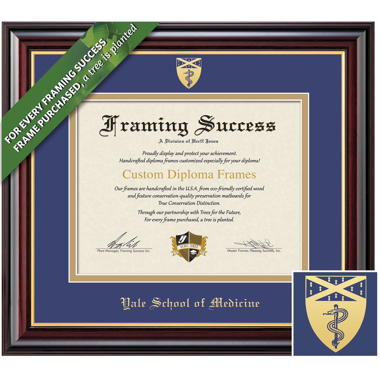 Framing Success 10 x 12 Windsor Gold Embossed School Seal School Of Medicine Diploma Frame