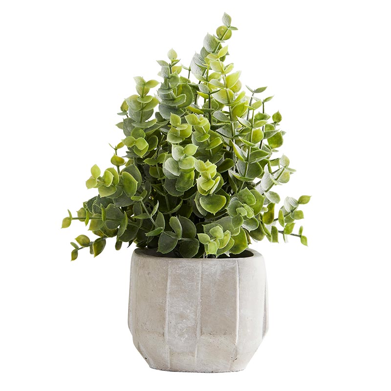 Faux Eucalyptus plant in horizontally-textured cement planter.  8" high. 3" diameter pot.