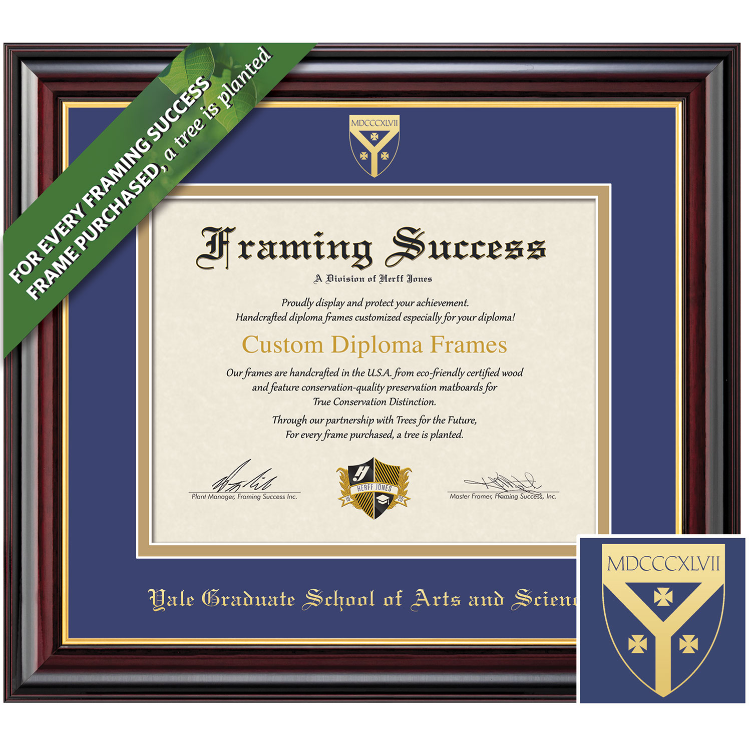 Framing Success 10 x 12 Windsor Gold Embossed School Seal School Of Arts and Sciences Diploma Frame